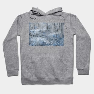 Painting of a Faerie Forest with Blue Flowers Hoodie